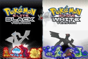 Pokemon Elite Black & Elite White 1